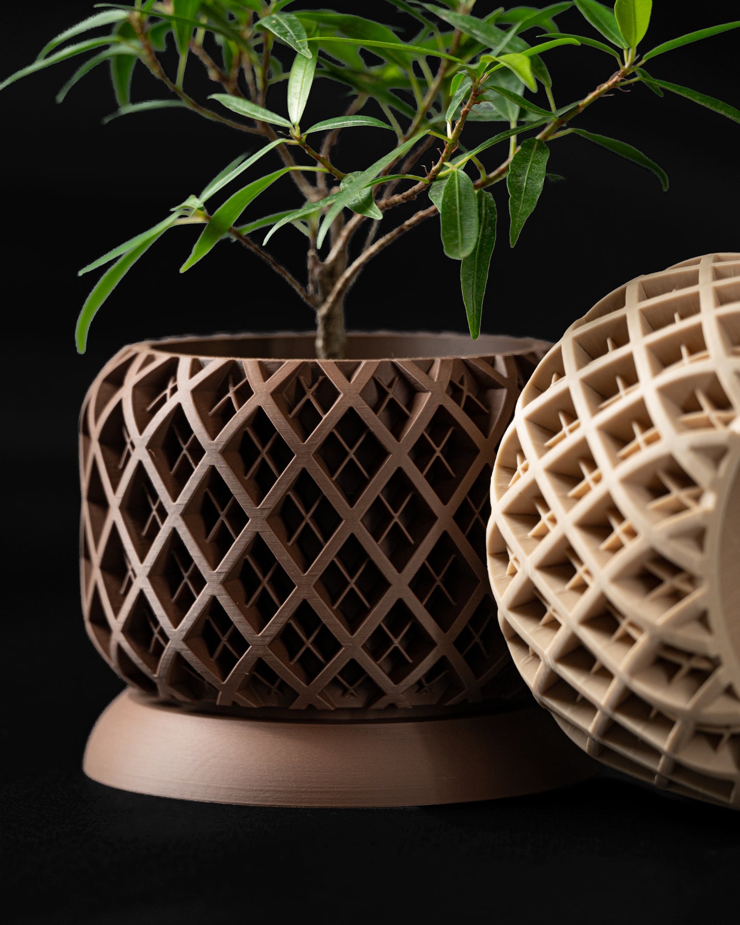 TORIO Planter