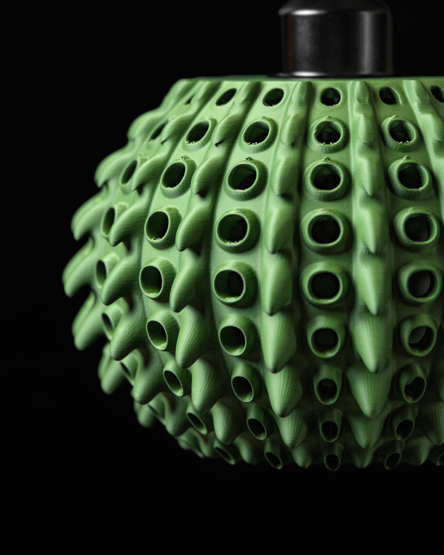 BARNACLE Pendant Lamp