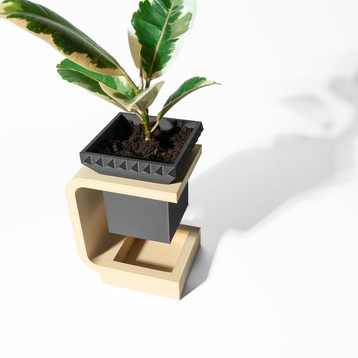 DAKA Planter