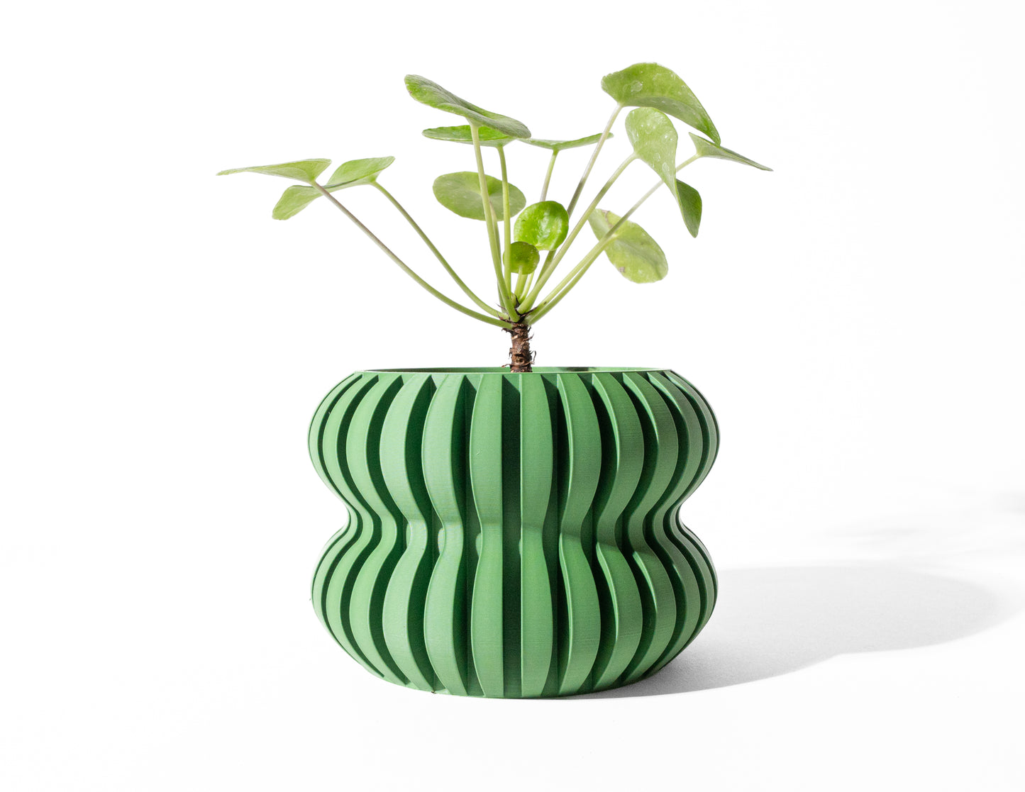 DASO Planter