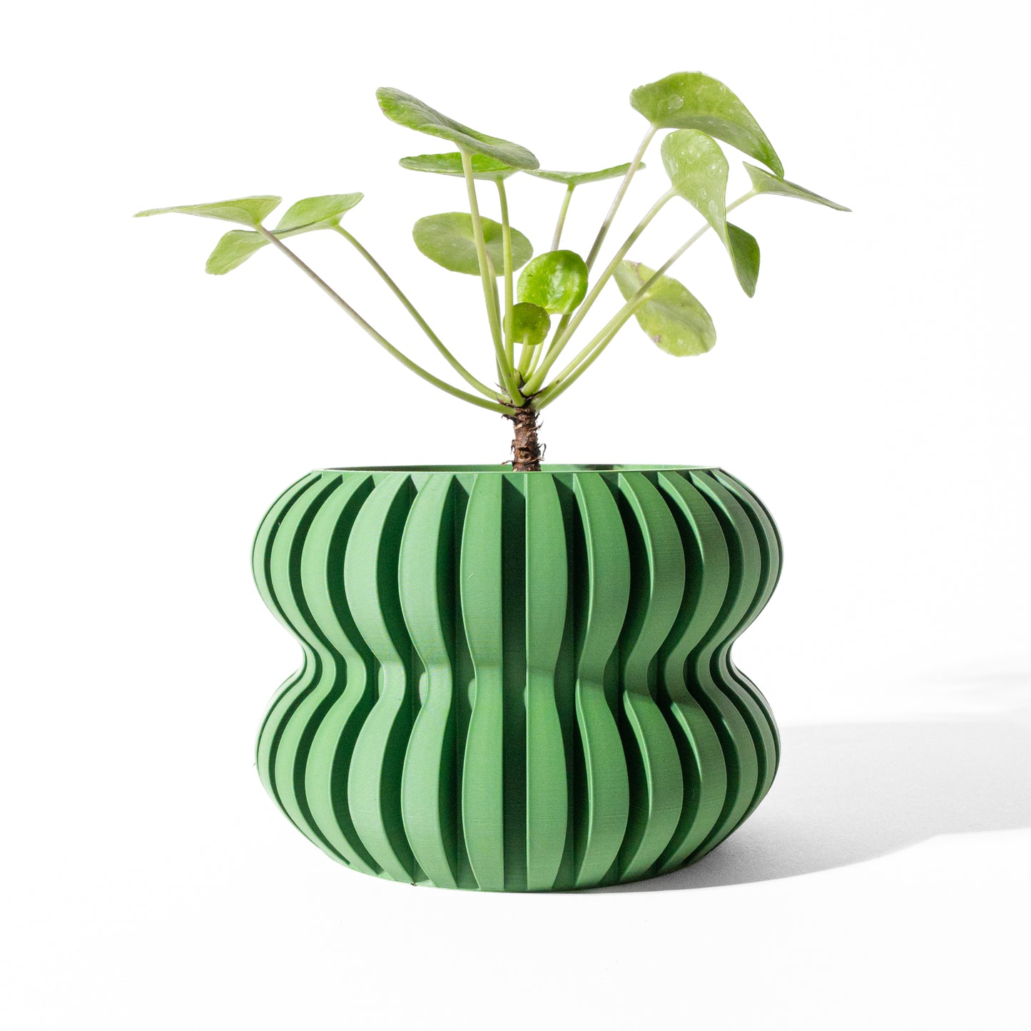 DASO Planter