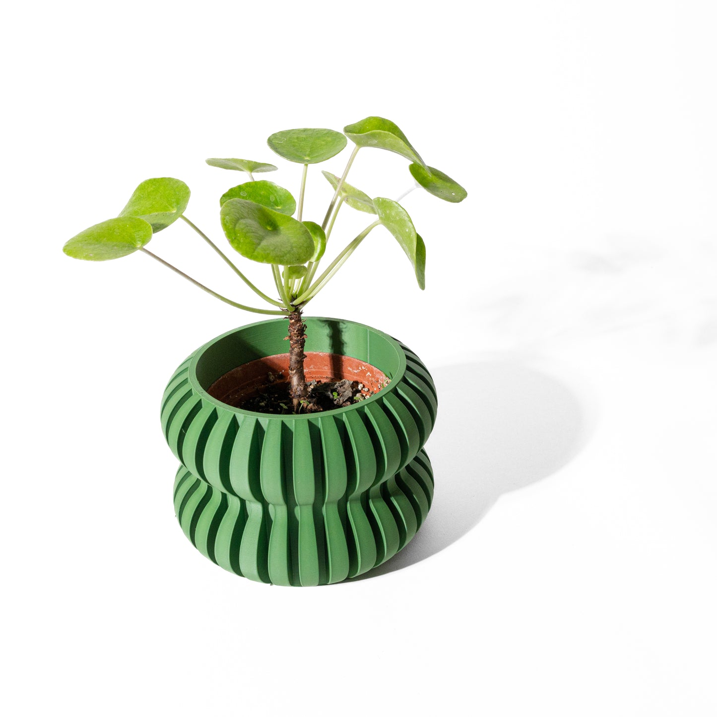 DASO Planter