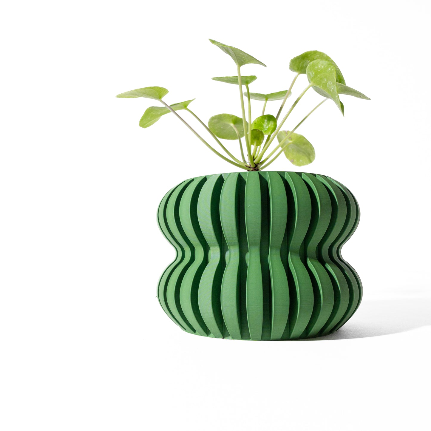 DASO Planter