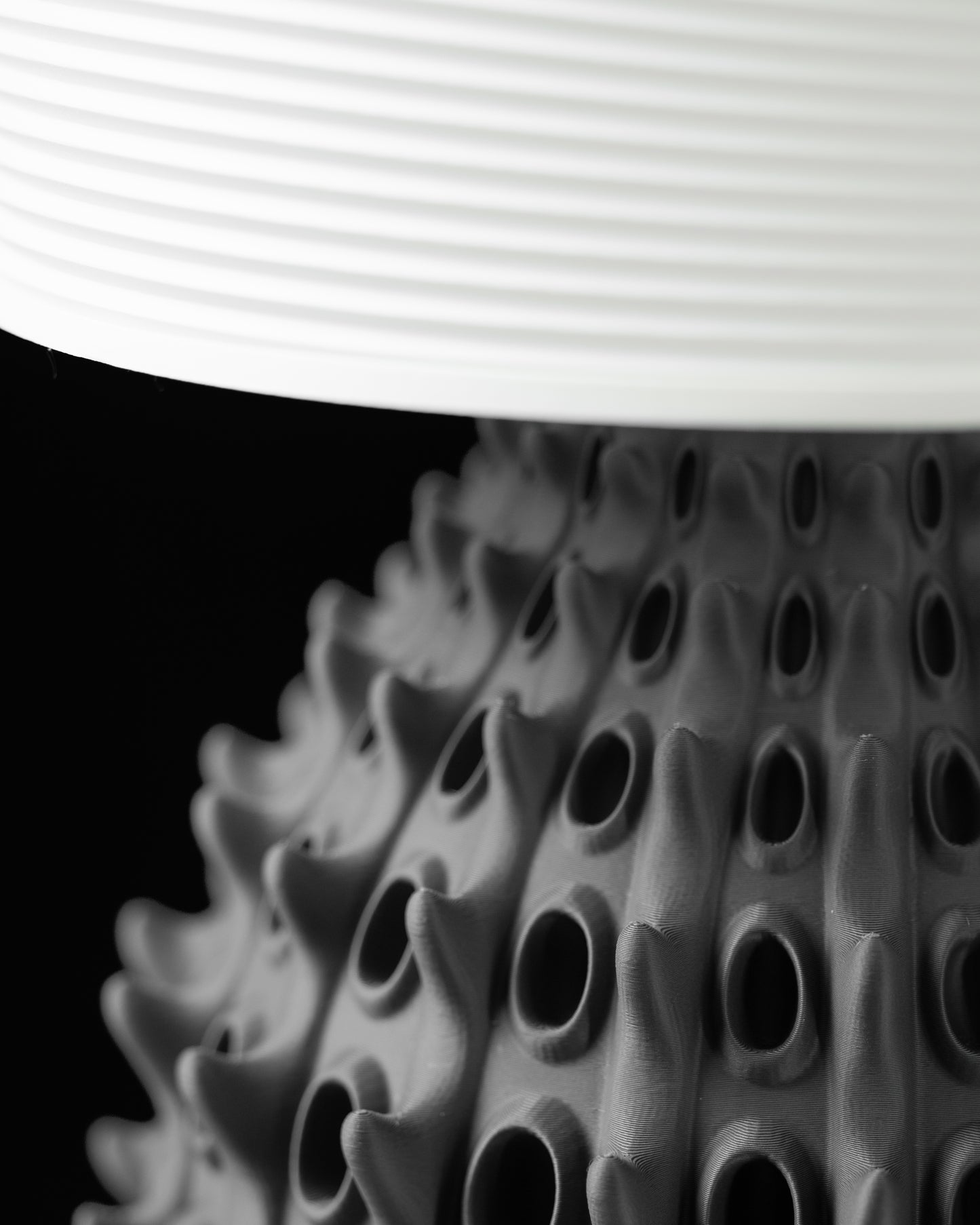 BARNACLE Table Lamp