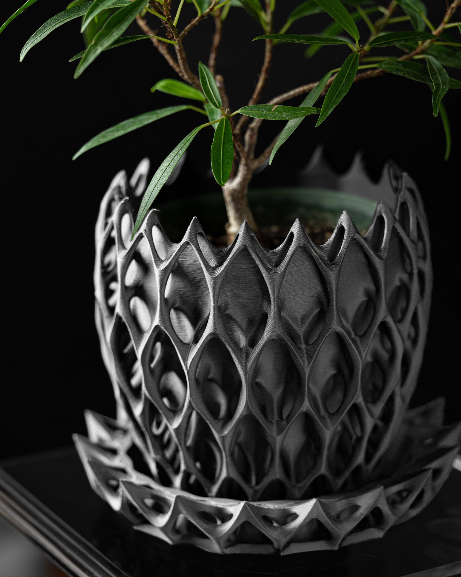 Planters