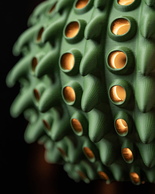 BARNACLE Pendant Lamp