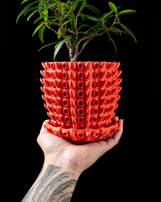 BARNACLE Planter Pot