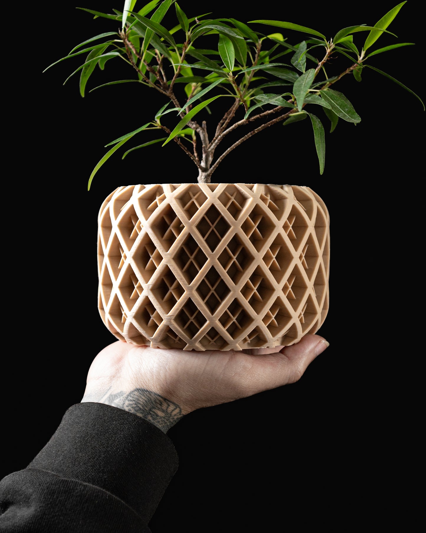 TORIO Planter