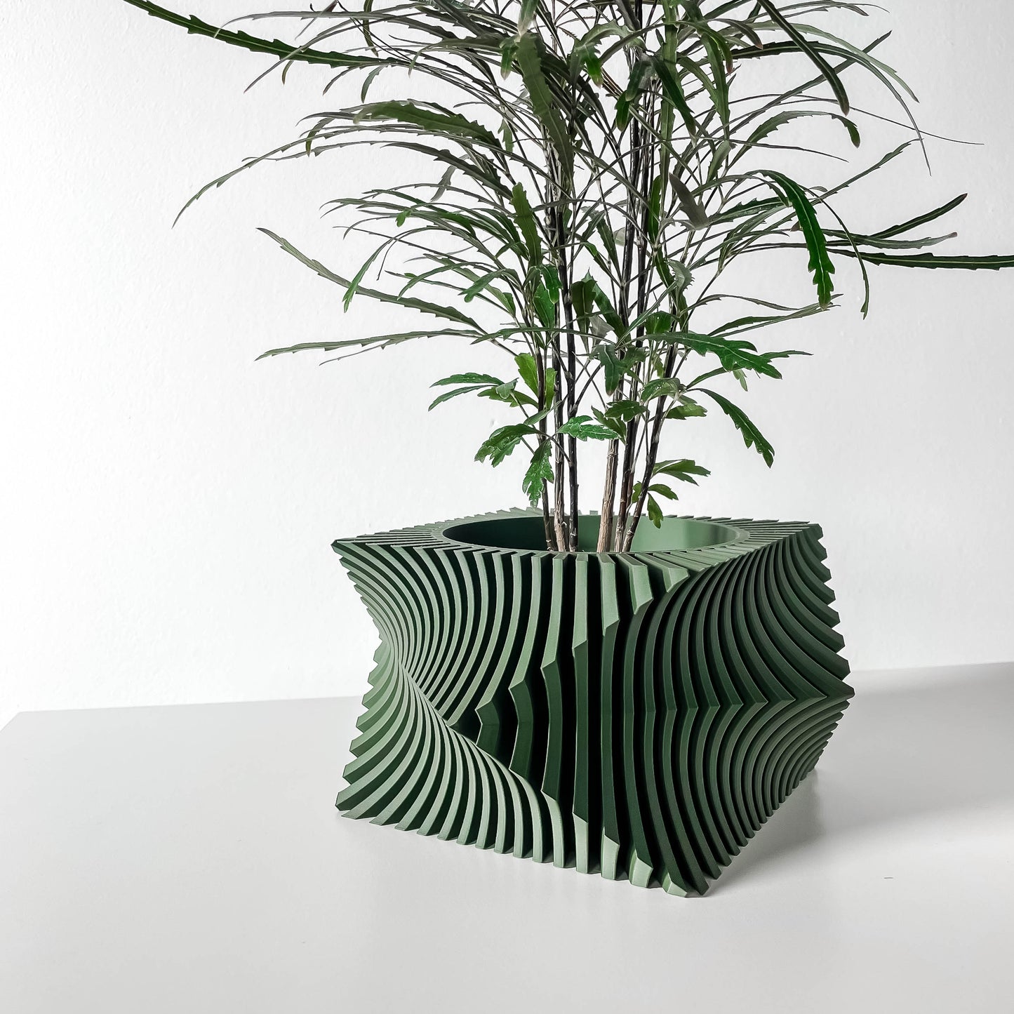 ANIO Planter